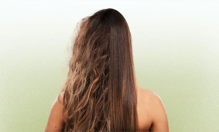 Haare von hinten, links trocken und strapaziert, rechts glatt und gepflegt – Ergebnis der Otium Miracle Revive Pflege.