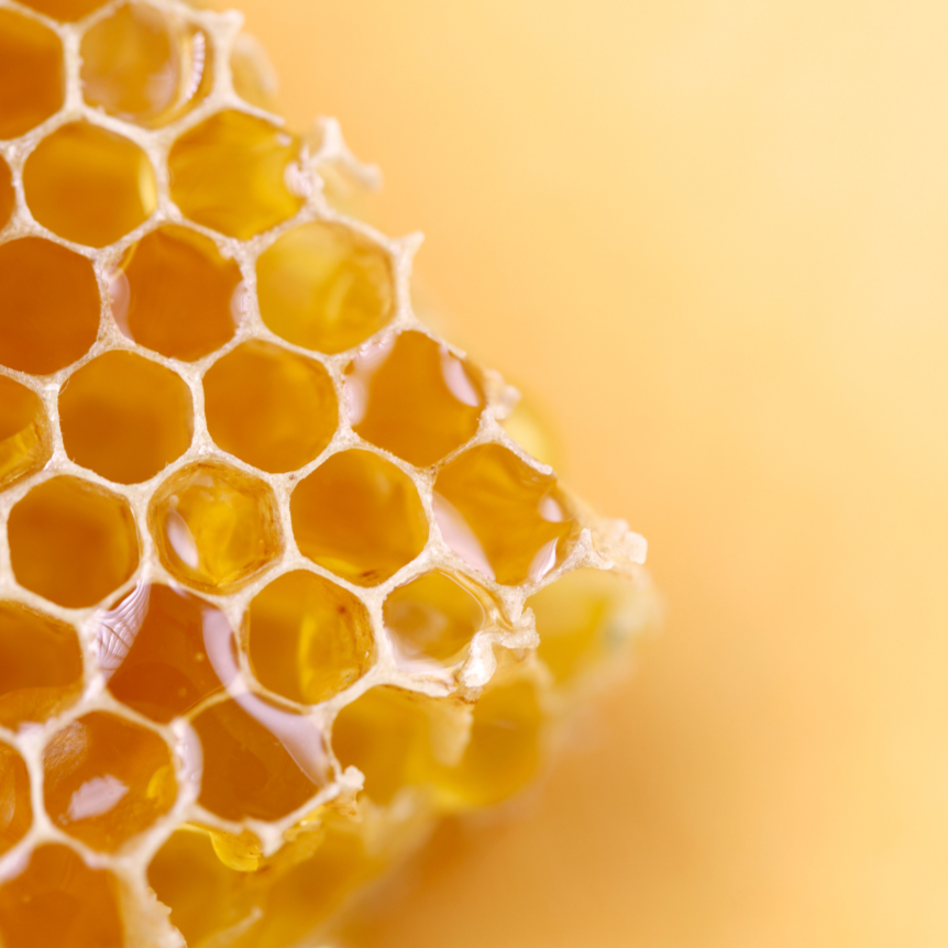 Bienenwachs