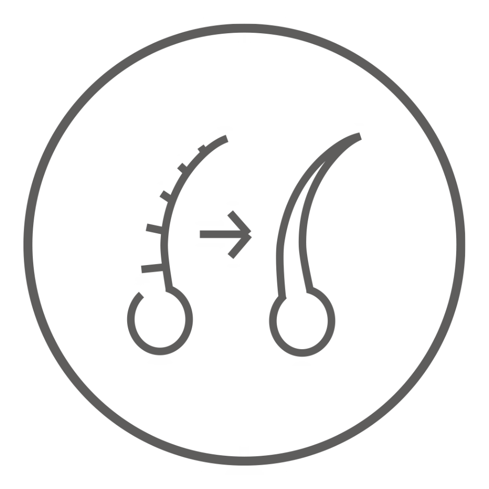 Graue Strichgrafik: Zwei stilisierte Haarfollikel, links mit beschädigter Struktur, rechts glatt und gesund, verbunden durch einen Pfeil, in einem Kreis dargestellt.