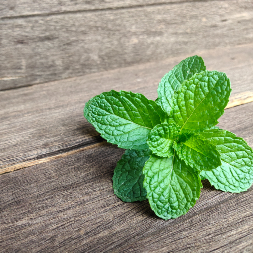 Frisches grünes Minzblatt liegt auf einem hölzernen Untergrund.