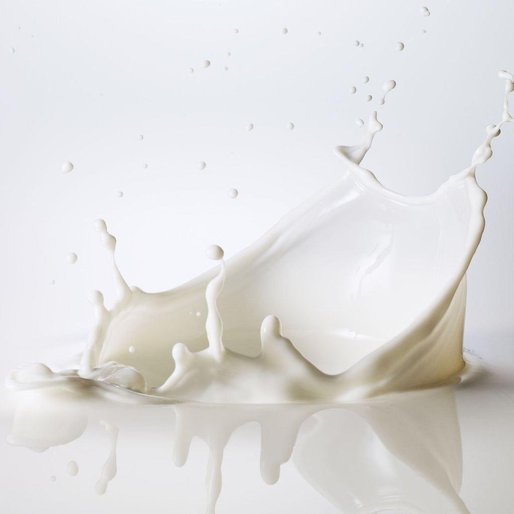Spritzende Milch mit Tropfen und Wellenbewegung vor weißem Hintergrund, symbolische Darstellung für Milchsäure.